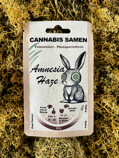 Amnesia Haze Cannabis Samen